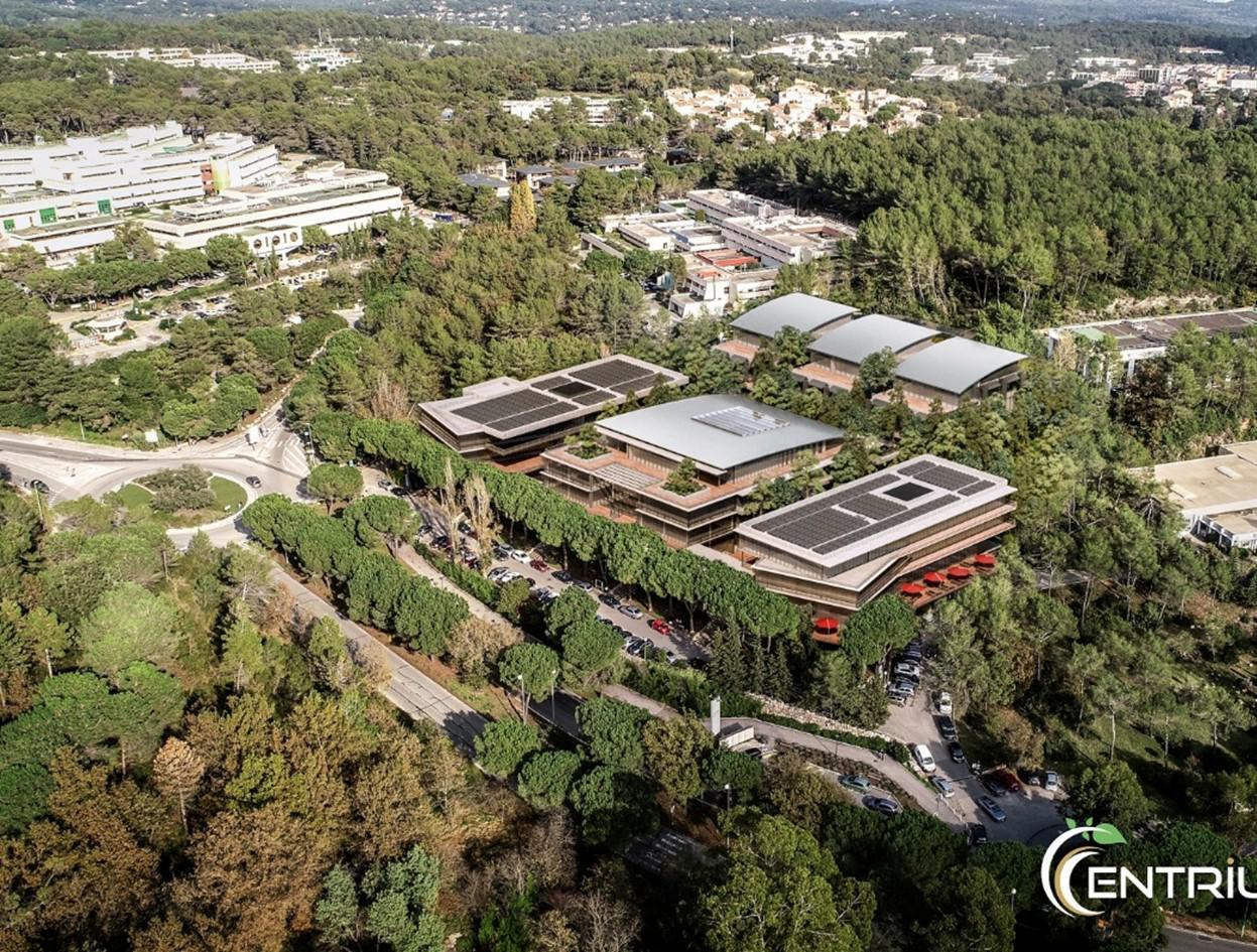 Bureau Sophia Antipolis 494m² Location bureau Sophia Antipolis Alpes-Maritimes OLBUR2115392 13